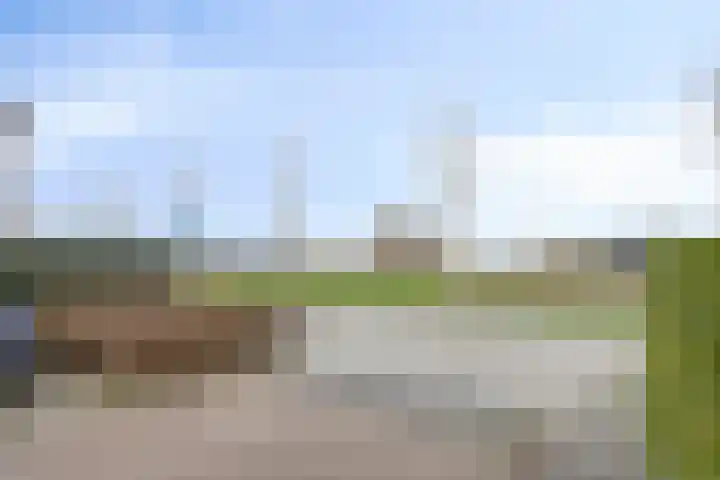Walcherenstraat 32 Duiven thumbnail 35