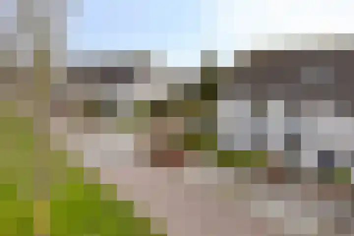Walcherenstraat 32 Duiven thumbnail 40