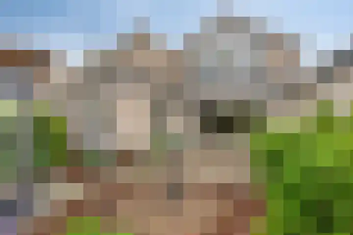 Walcherenstraat 78 Duiven thumbnail 4