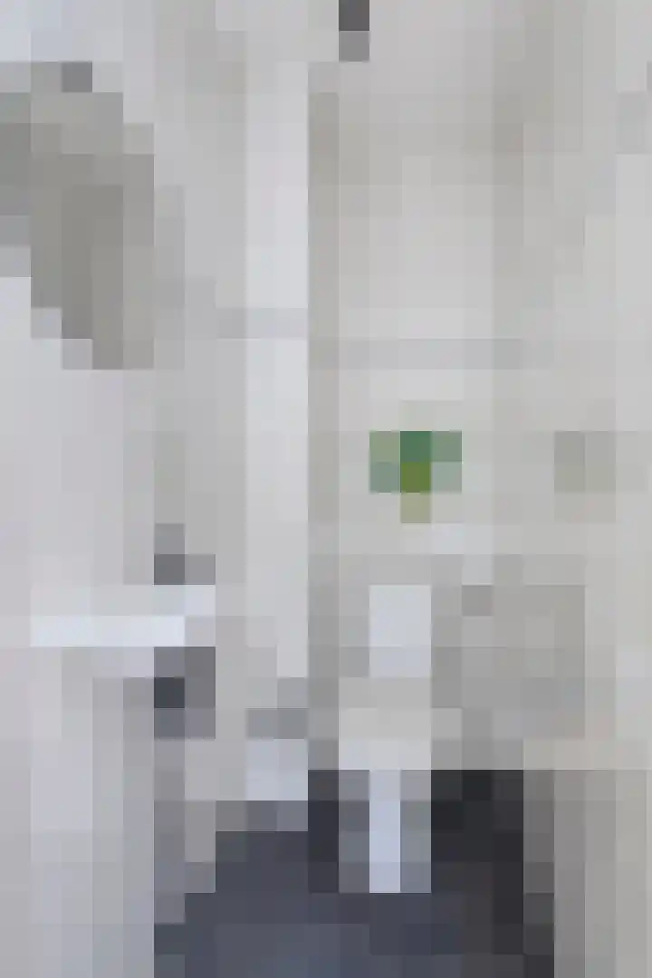 Walcherenstraat 78 Duiven thumbnail 9