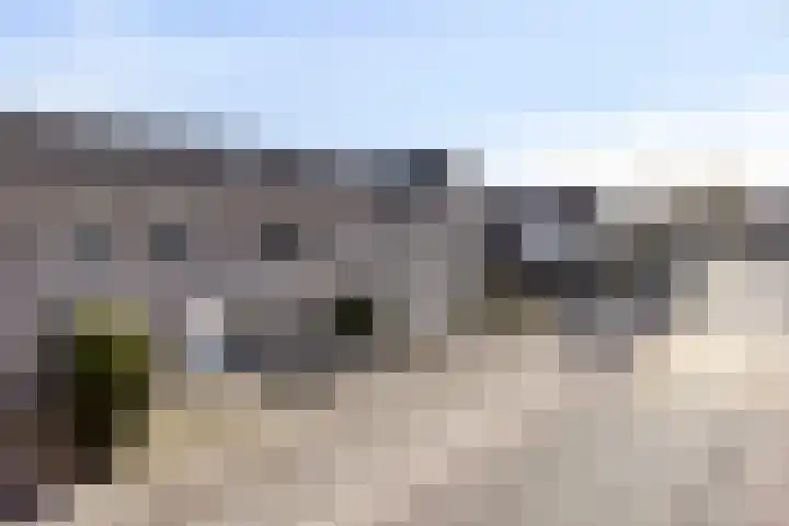 Walcherselaan 17 Marknesse thumbnail 11