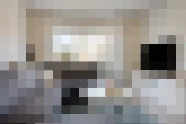 Walcherselaan 17 Marknesse thumbnail 16