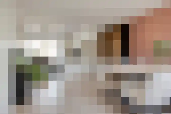 Walcherselaan 17 Marknesse thumbnail 19