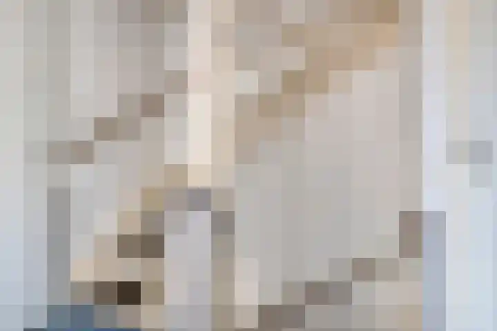 Walcherselaan 17 Marknesse thumbnail 24