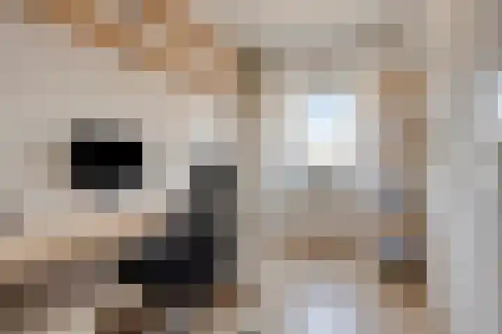 Walcherselaan 17 Marknesse thumbnail 32