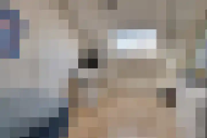 Walcherselaan 17 Marknesse thumbnail 35