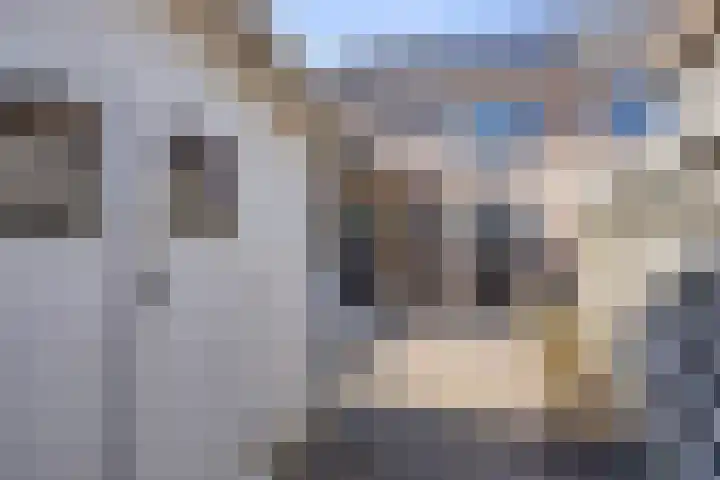 Walcherselaan 17 Marknesse thumbnail 38