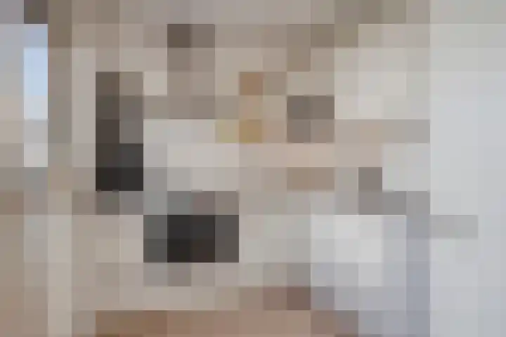 Walcherselaan 17 Marknesse thumbnail 5