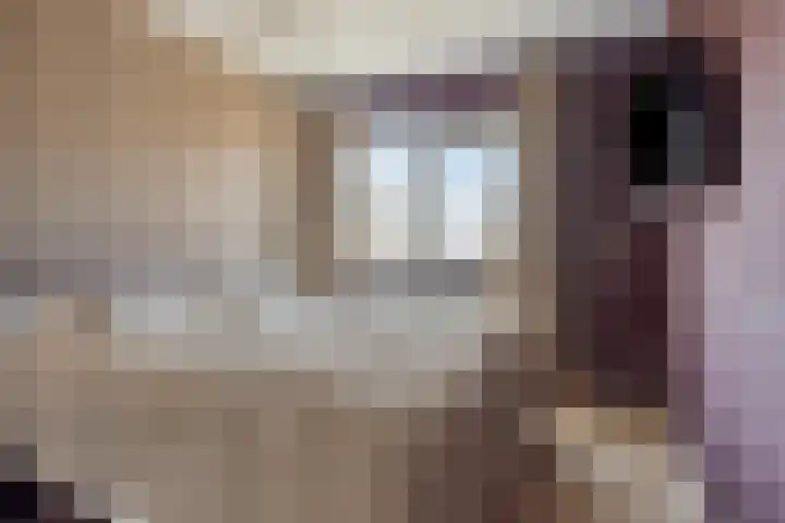 Walcherselaan 17 Marknesse thumbnail 6