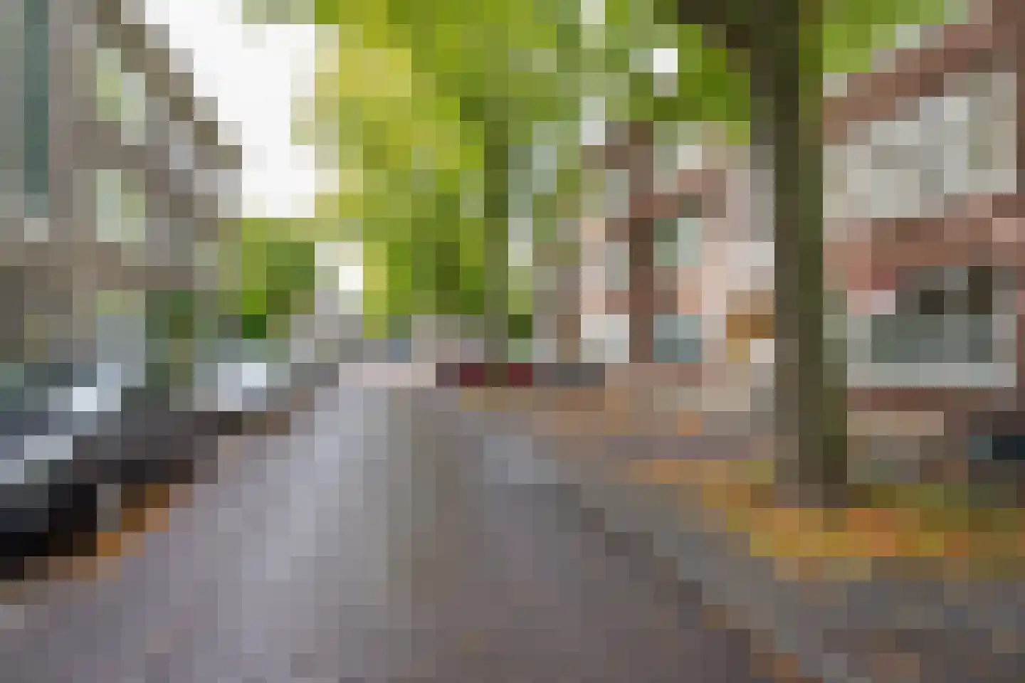Walchersestraat 73 A Rotterdam thumbnail 20