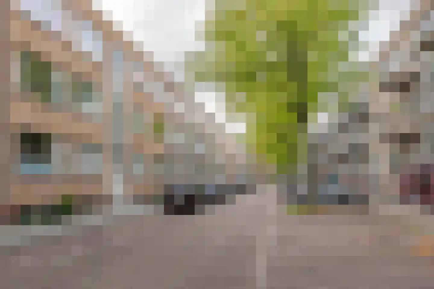 Walchersestraat 98 C Rotterdam