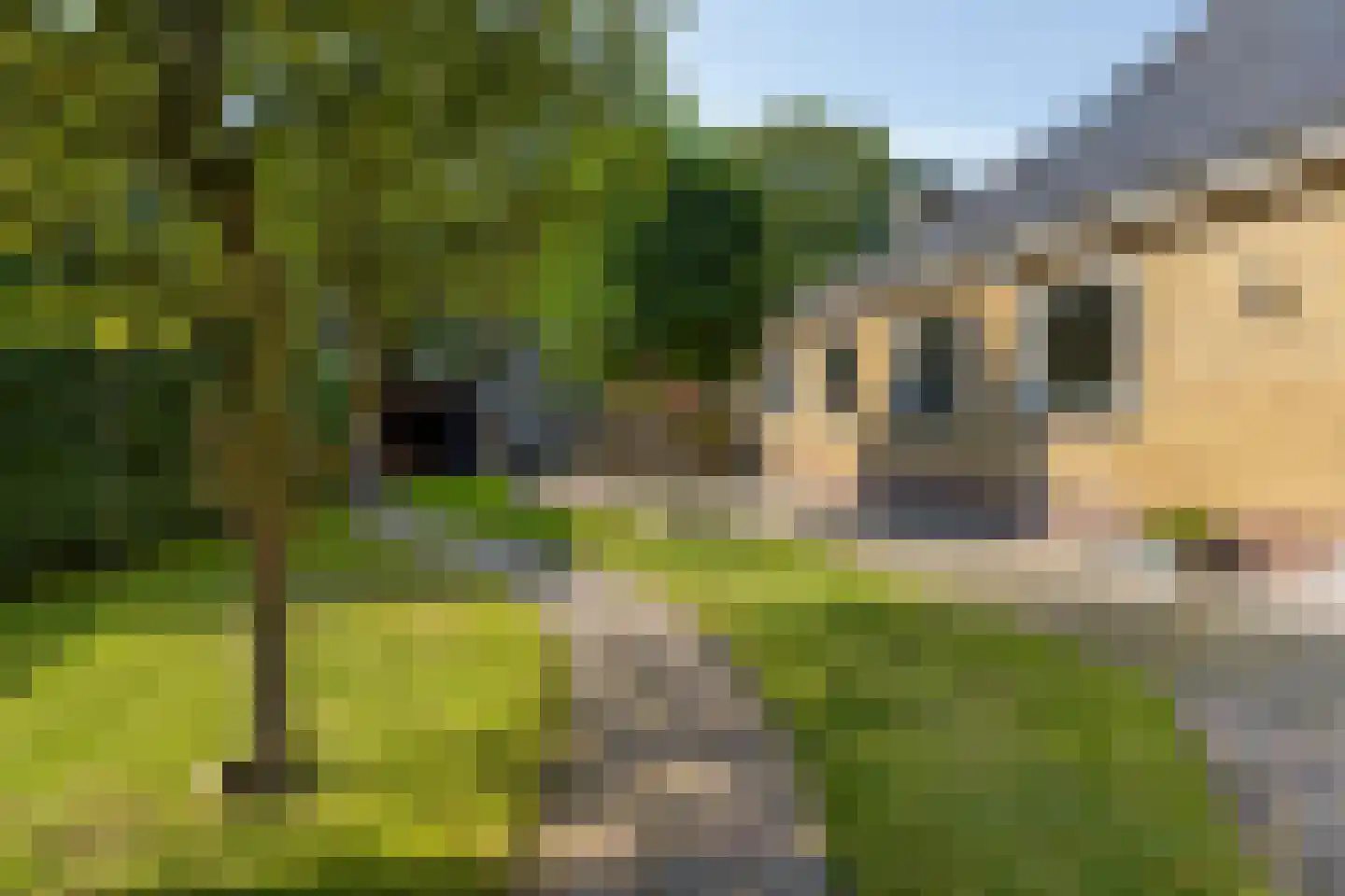 Walcherseweg 235 Middelburg thumbnail 46