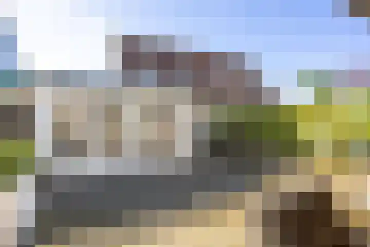 Waldadrift 122 Bedum thumbnail 54
