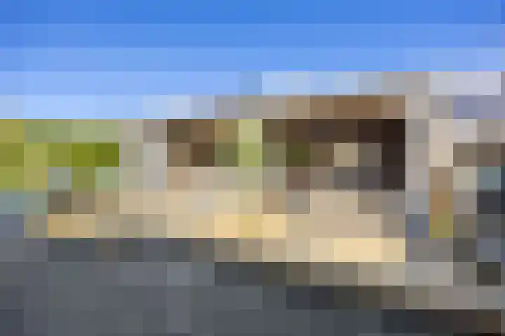 Waldadrift 122 Bedum thumbnail 55