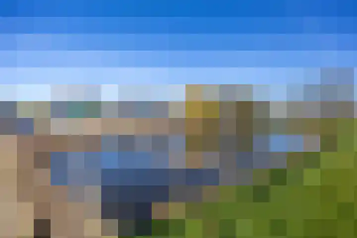Waldadrift 122 Bedum thumbnail 6