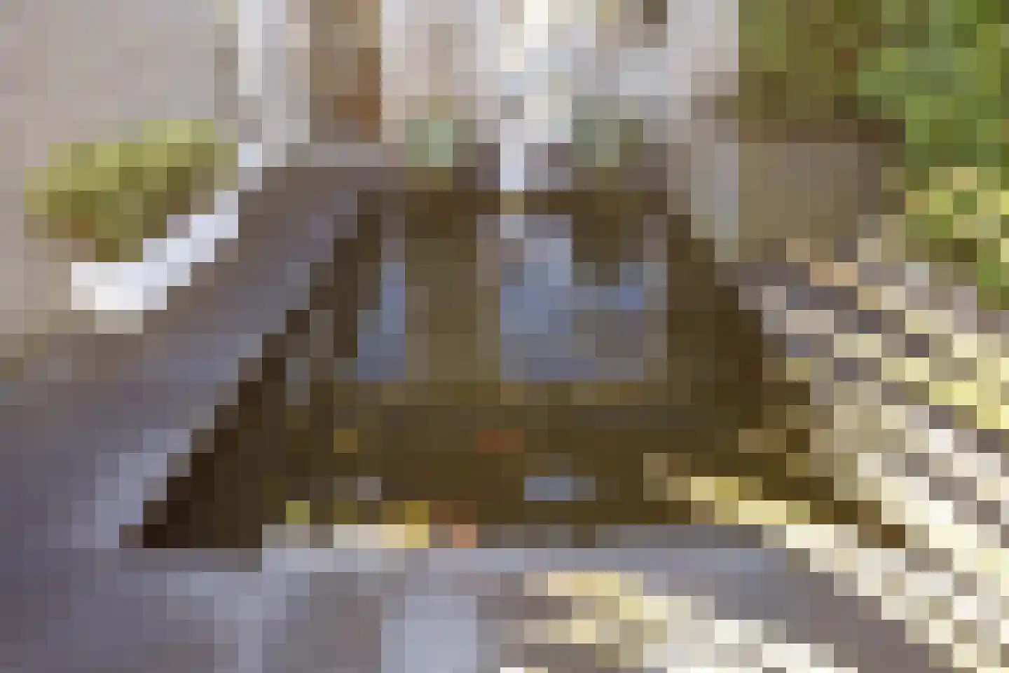 Waldadrift 122 Bedum thumbnail 63