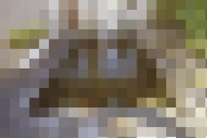 Waldadrift 122 Bedum thumbnail 63