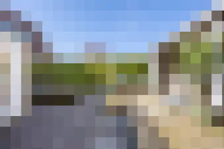 Waldadrift 122 Bedum thumbnail 64