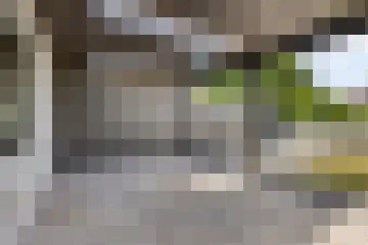 Waldadrift 150 Bedum thumbnail 12