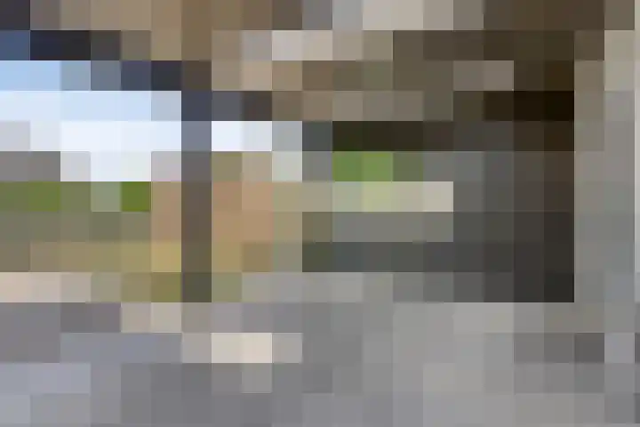 Waldadrift 150 Bedum thumbnail 13