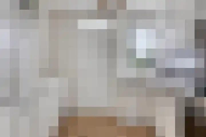 Waldadrift 150 Bedum thumbnail 17