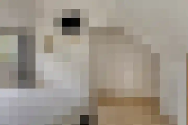 Waldadrift 150 Bedum thumbnail 28