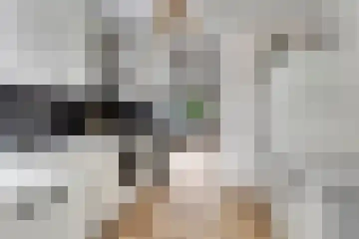 Waldadrift 150 Bedum foto 3