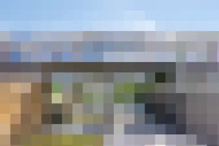 Waldadrift 150 Bedum thumbnail 32