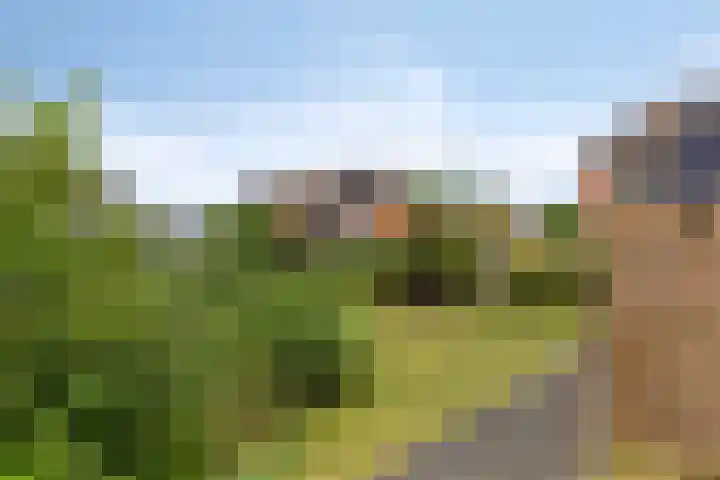 Waldadrift 150 Bedum thumbnail 33