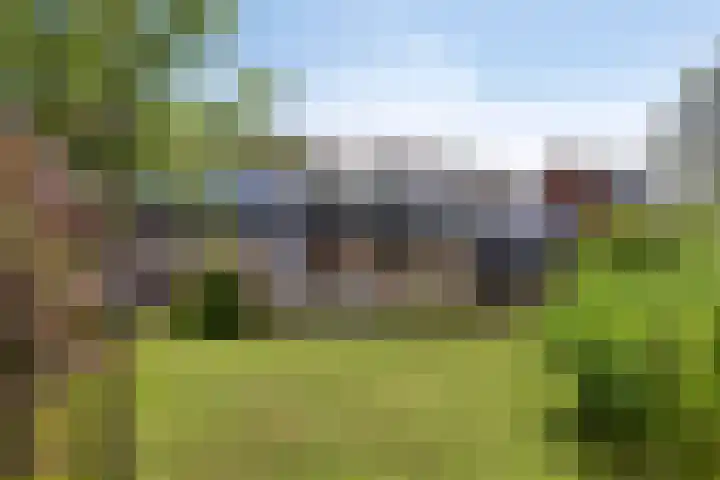Waldadrift 150 Bedum thumbnail 34