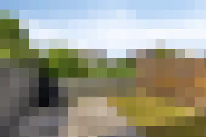 Waldadrift 150 Bedum thumbnail 7
