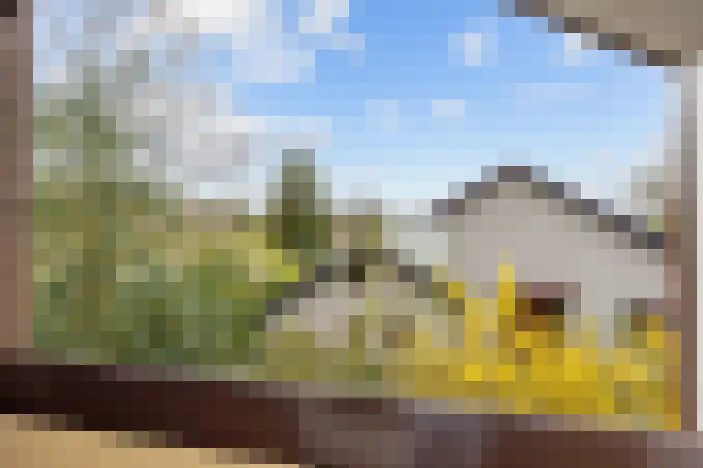 Waldadrift 20 Bedum thumbnail 32
