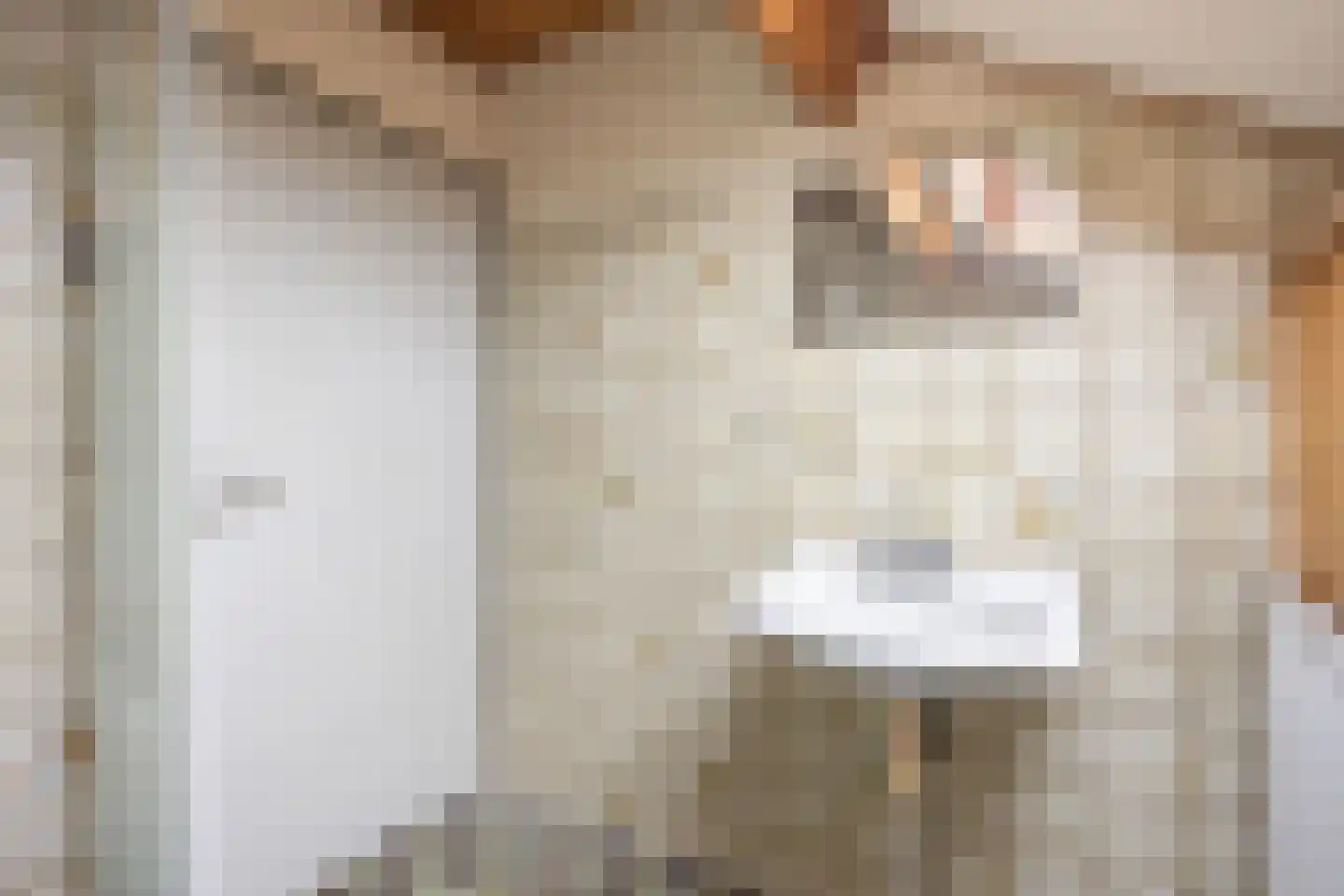 Waldadrift 20 Bedum thumbnail 42