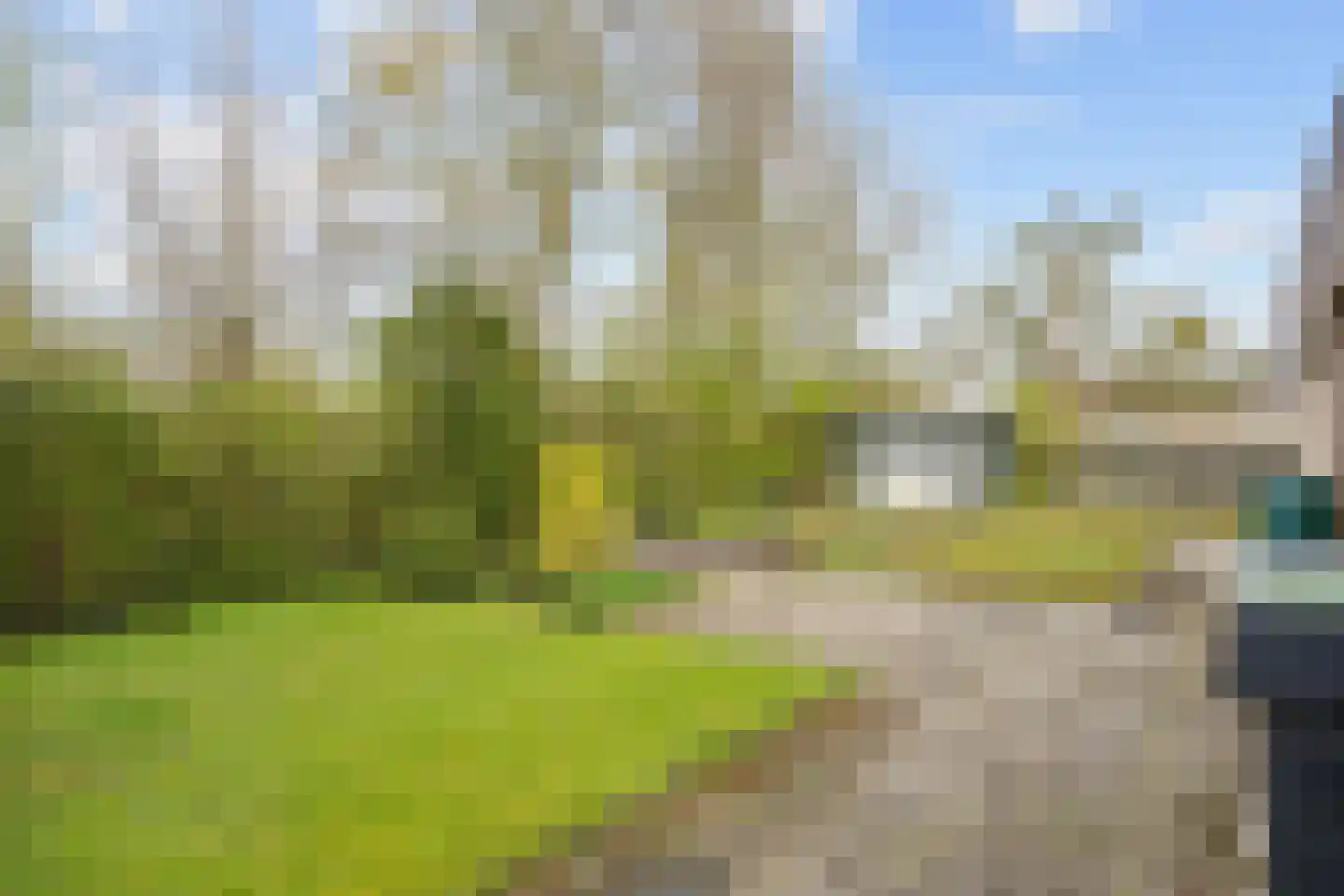 Waldadrift 20 Bedum thumbnail 49