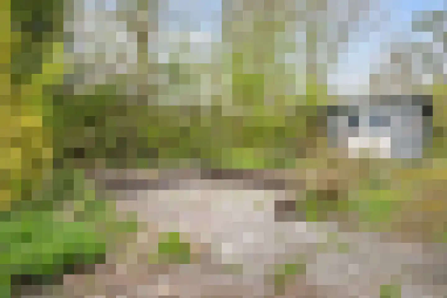 Waldadrift 20 Bedum thumbnail 50