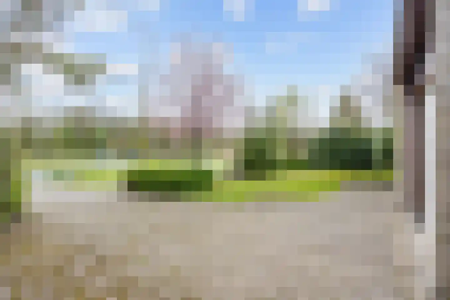 Waldadrift 20 Bedum thumbnail 51
