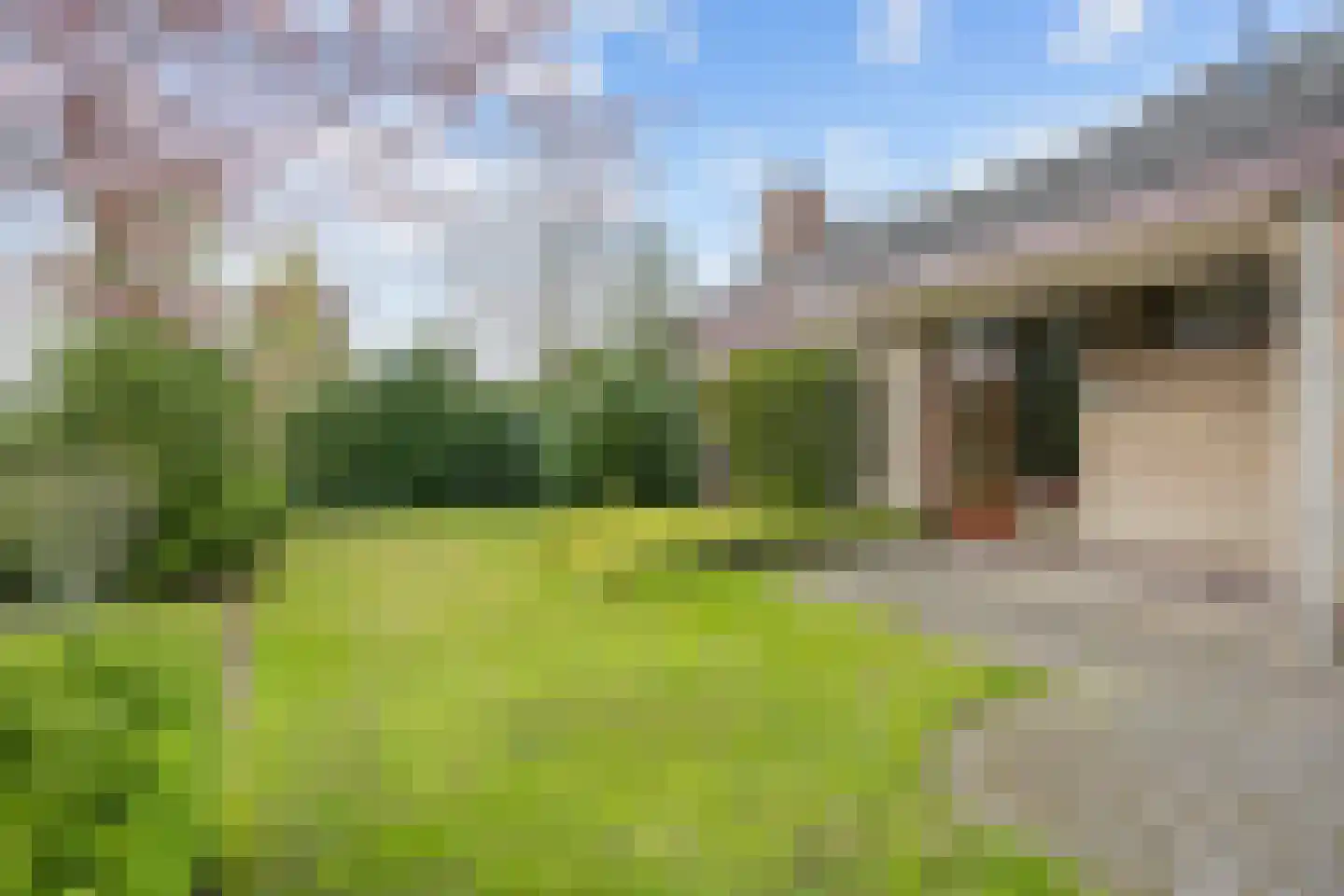 Waldadrift 20 Bedum thumbnail 7