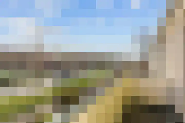 Waldadrift 58 Bedum thumbnail 22