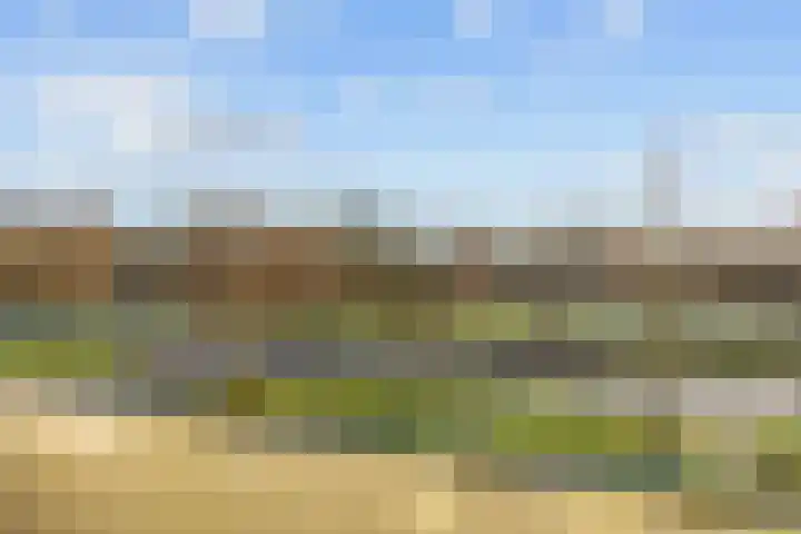 Waldadrift 58 Bedum thumbnail 23
