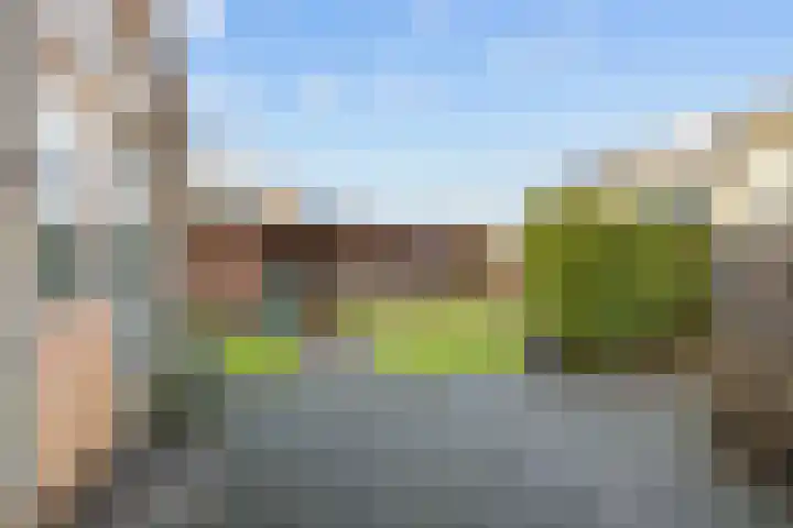 Waldadrift 58 Bedum thumbnail 33