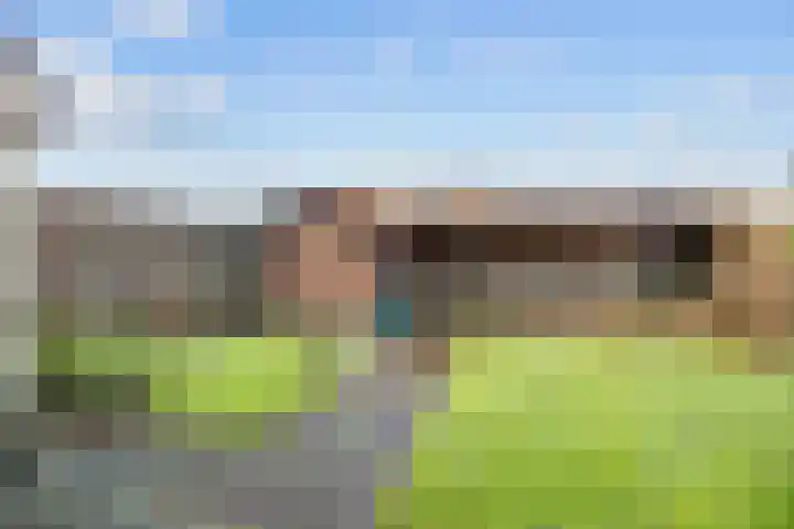 Waldadrift 58 Bedum thumbnail 35