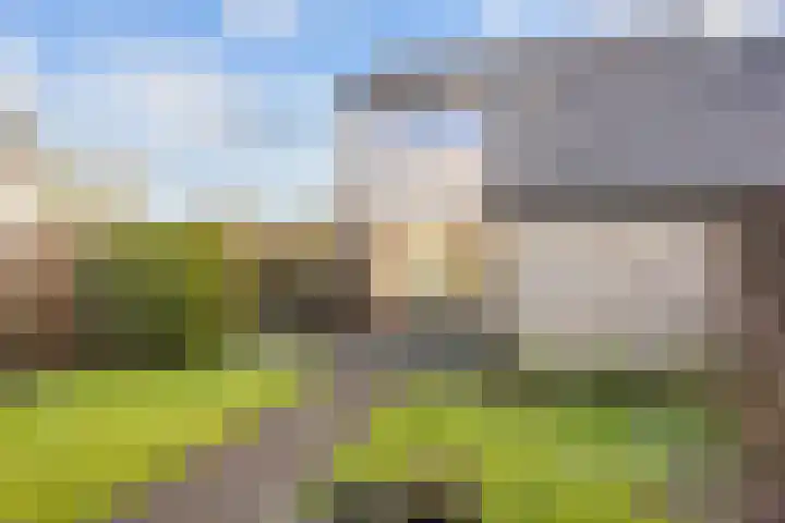 Waldadrift 58 Bedum thumbnail 36