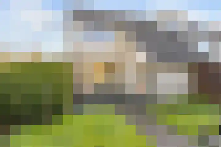 Waldadrift 58 Bedum thumbnail 37