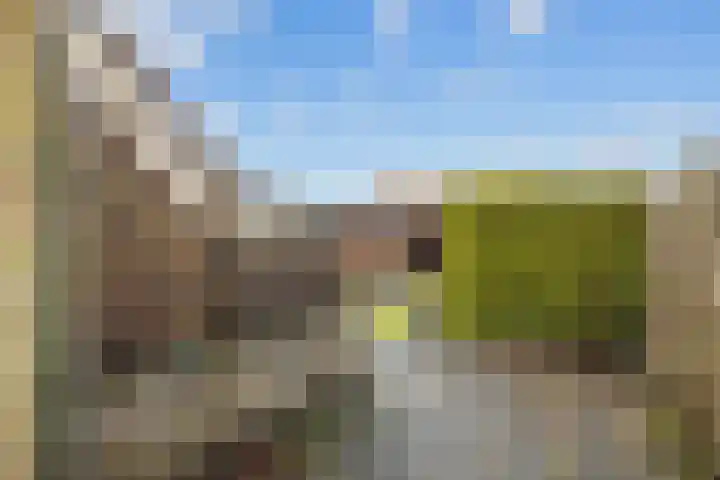 Waldadrift 58 Bedum thumbnail 39