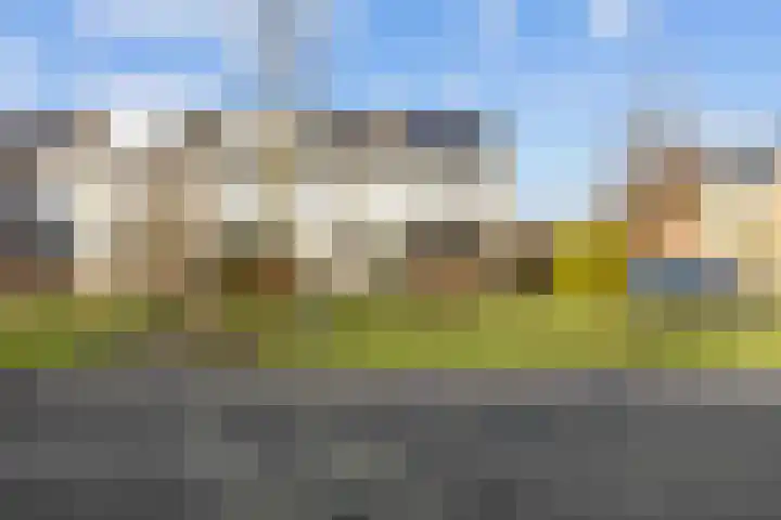 Waldadrift 58 Bedum thumbnail 4