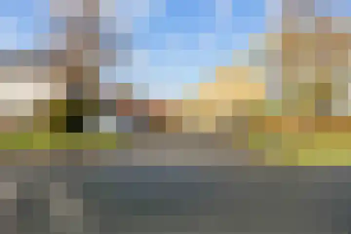Waldadrift 58 Bedum thumbnail 40