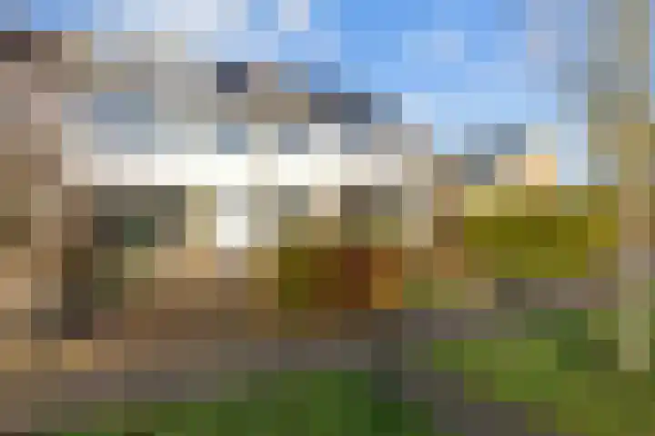 Waldadrift 58 Bedum thumbnail 5