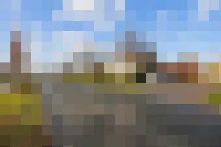 Waldadrift 58 Bedum thumbnail 7