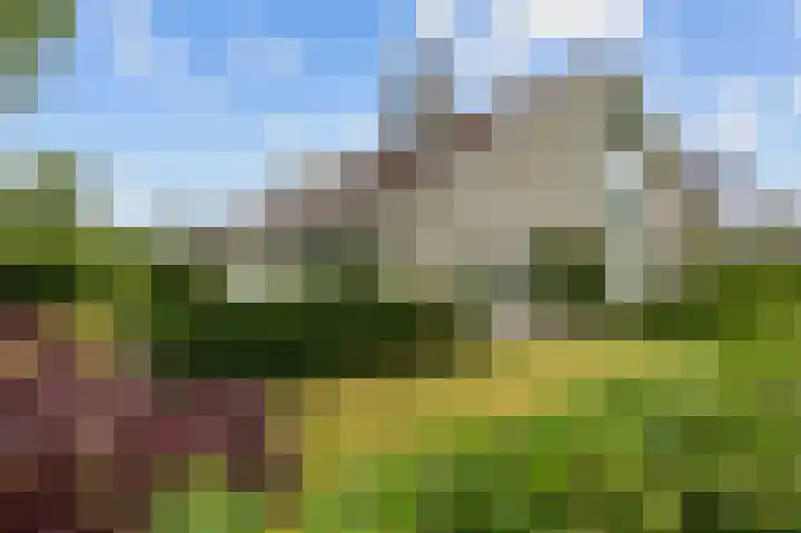 Waldadrift 8 Bedum