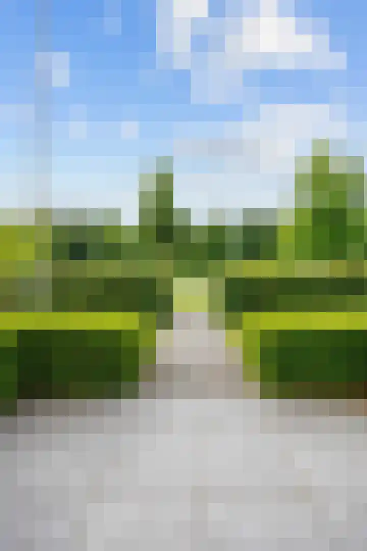 Waldadrift 8 Bedum thumbnail 10